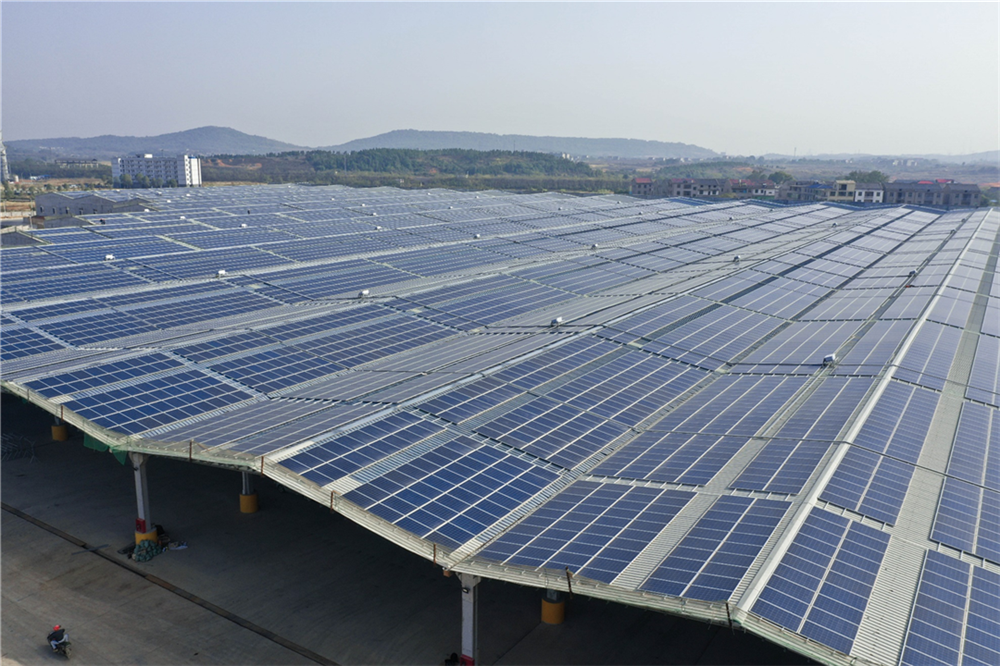 1678413848969962.png 圖片 5.png