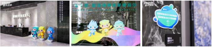 1700529686521412.jpg 9.jpg