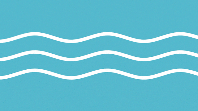 1704158169591601.png 1704158169591601.png